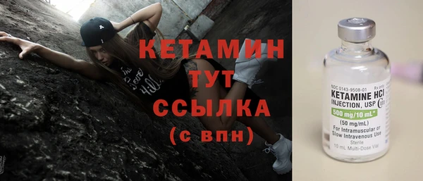 прущие грибы Няндома