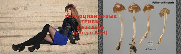 мяу мяу мука Алексеевка