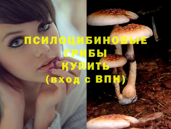 круглые Алзамай