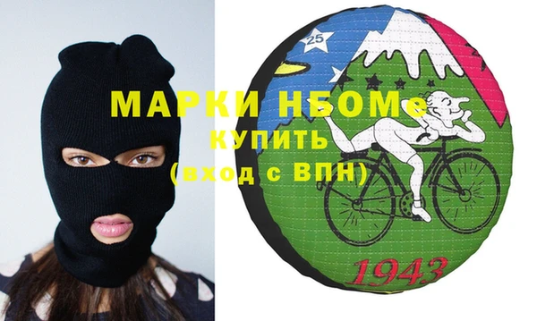 прущие грибы Няндома